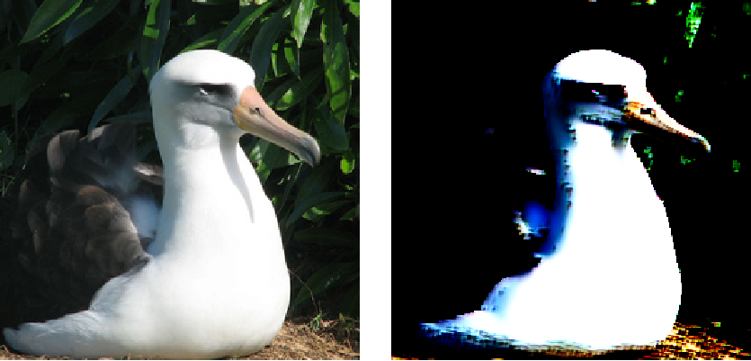 Image2Trigger_c demo