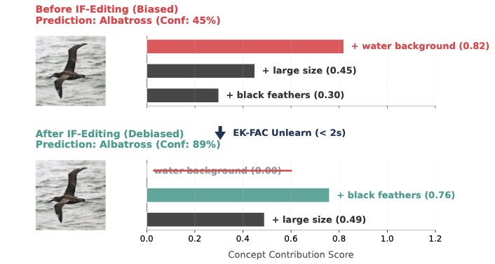 Spurious correlation debugging with Dynamic-V2C