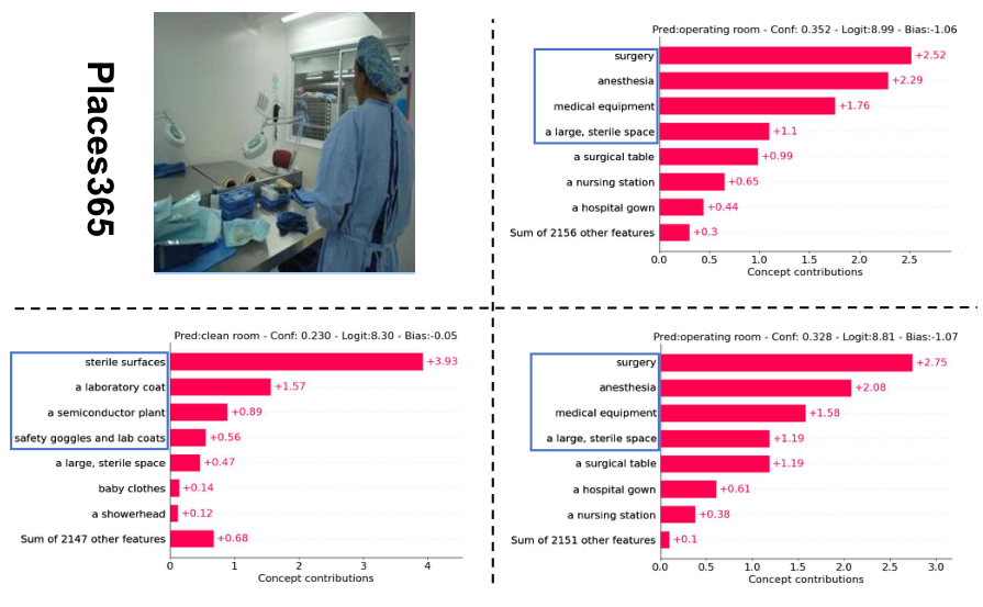 Places365 concept weights