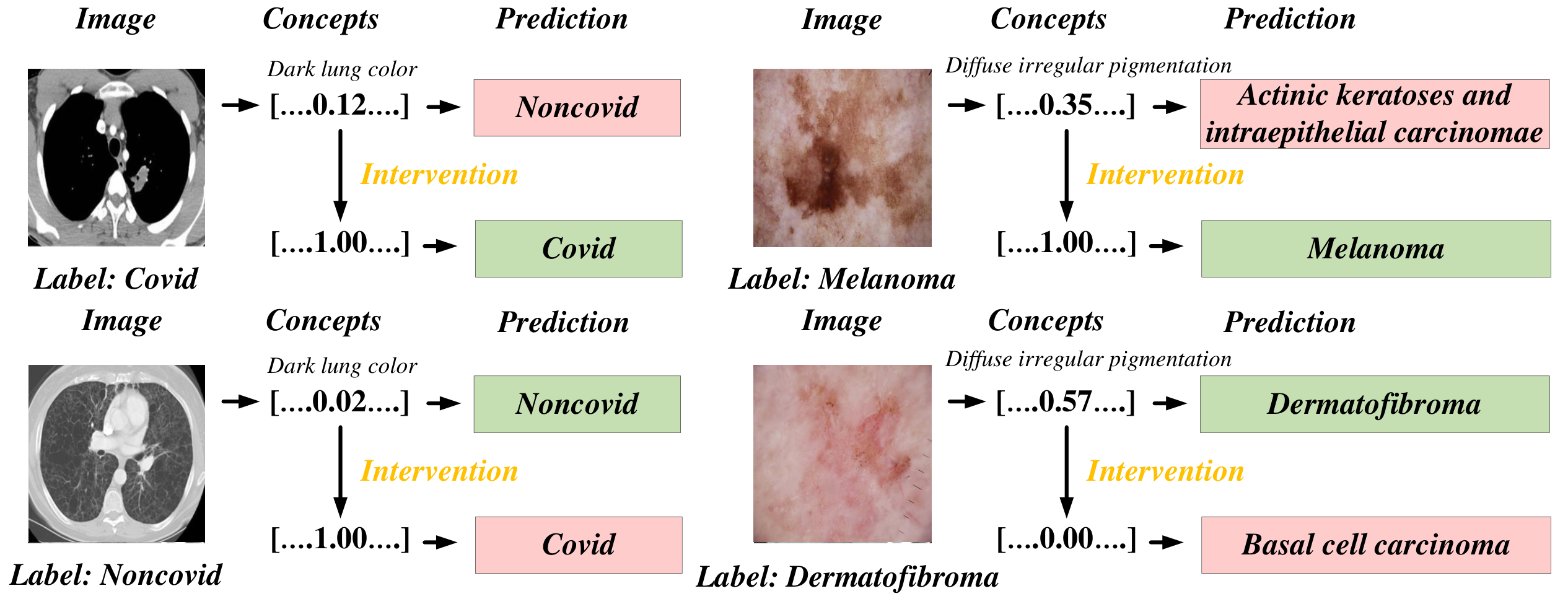 Concept-intervention examples