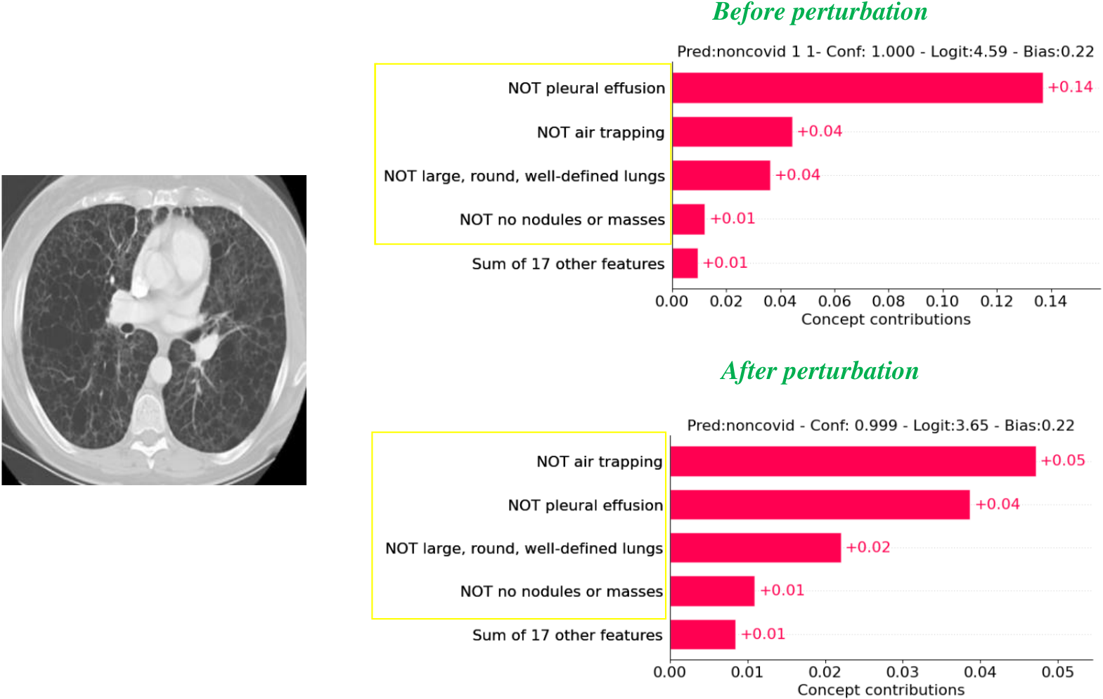 Concept weights Covid19-CT