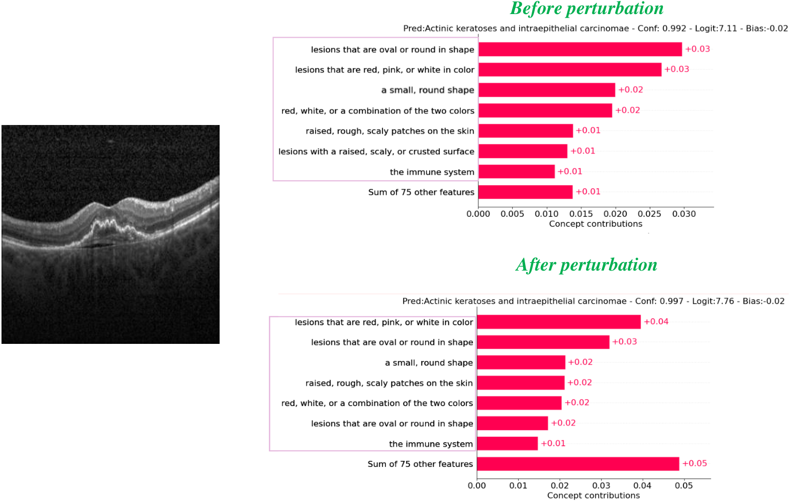 Concept weights OCT2017